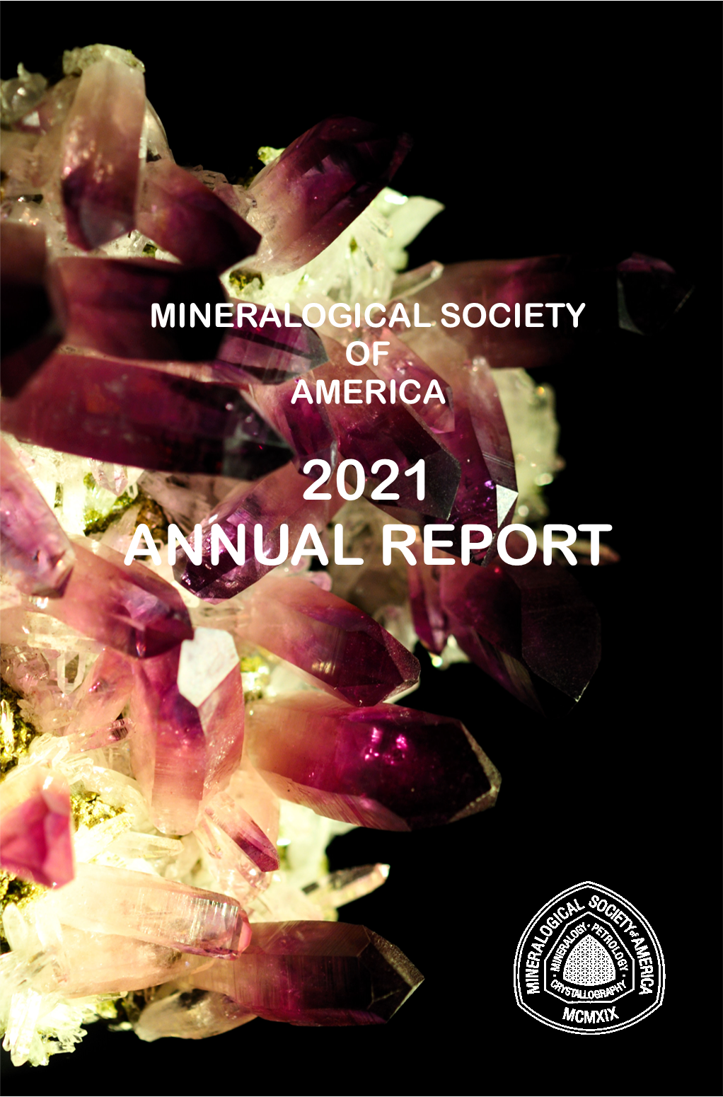 2021_MSA_Annual_Report