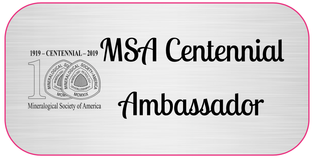 MSA Centennial Ambassador sticker