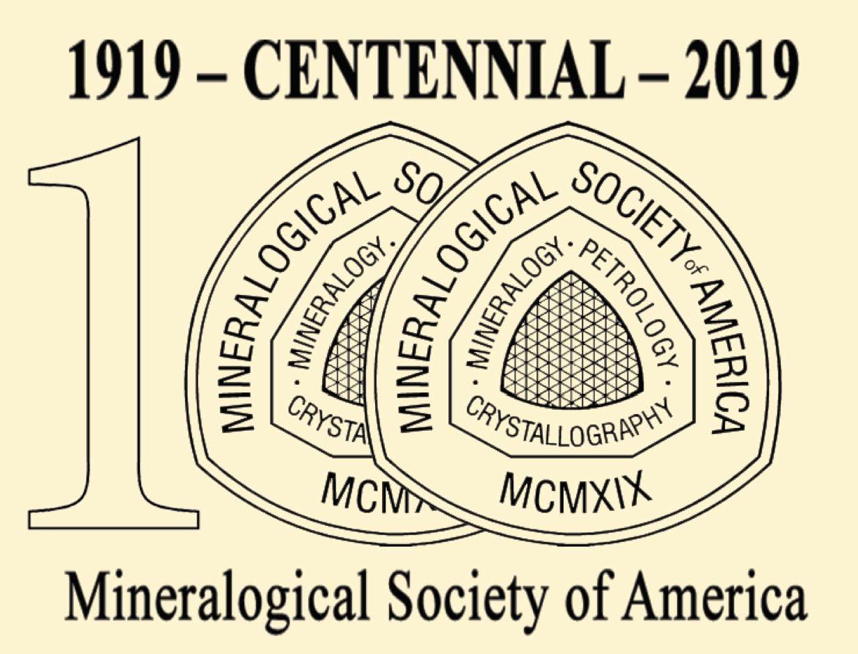 MSA Centennial Logo