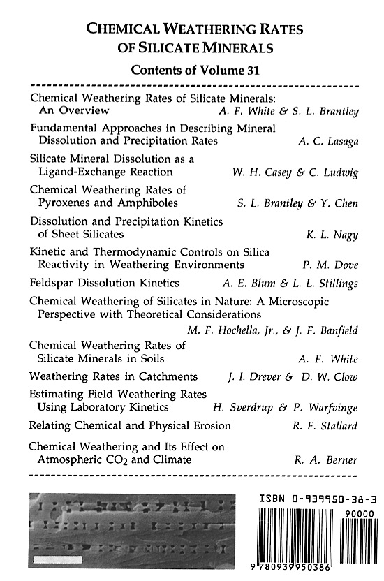 Back Cover of Reviews in Mineralogy and Geochmistry vol 31