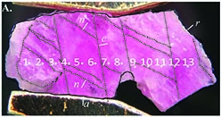 Fig