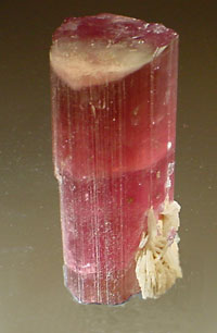 Tourmaline (elbaite) 9 cm tall, California