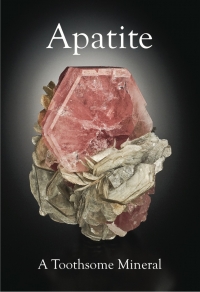Cover of Lithographie Monograph No. 17: Apatite - The Great Pretender